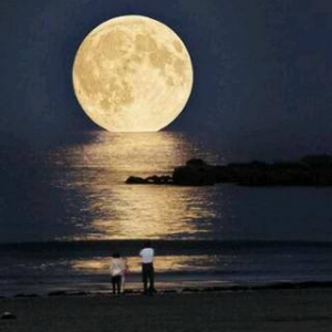 full-moon-over-beach                                                               